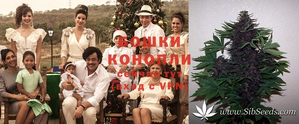 спиды Новодвинск